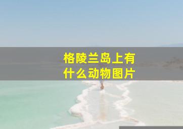 格陵兰岛上有什么动物图片