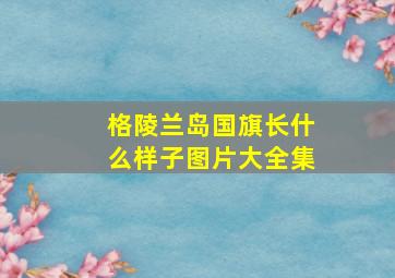 格陵兰岛国旗长什么样子图片大全集