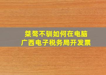 桀骜不驯如何在电脑广西电子税务局开发票