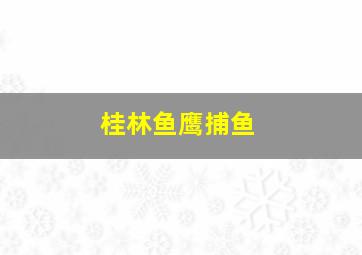 桂林鱼鹰捕鱼