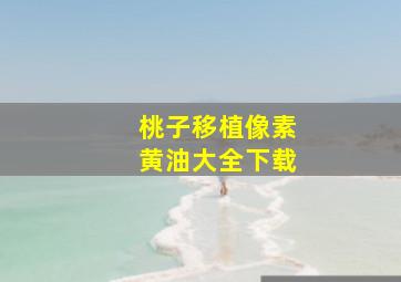 桃子移植像素黄油大全下载