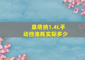 桑塔纳1.4L手动挡油耗实际多少