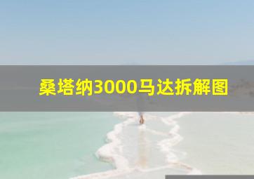 桑塔纳3000马达拆解图