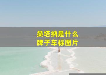 桑塔纳是什么牌子车标图片