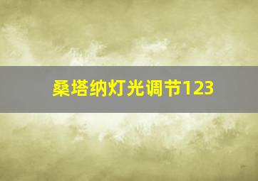 桑塔纳灯光调节123