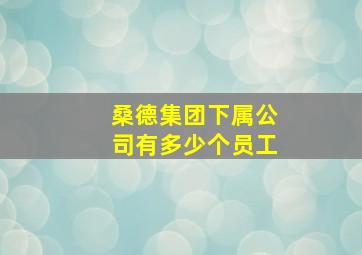 桑德集团下属公司有多少个员工