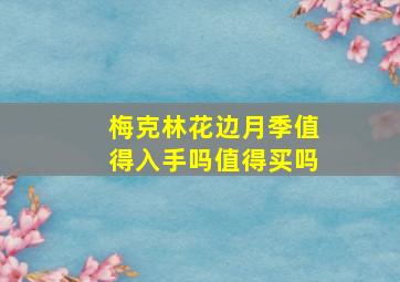 梅克林花边月季值得入手吗值得买吗