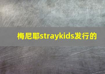 梅尼耶straykids发行的