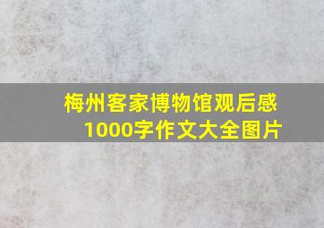 梅州客家博物馆观后感1000字作文大全图片