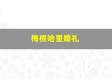 梅根哈里婚礼