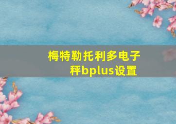 梅特勒托利多电子秤bplus设置