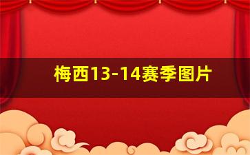 梅西13-14赛季图片