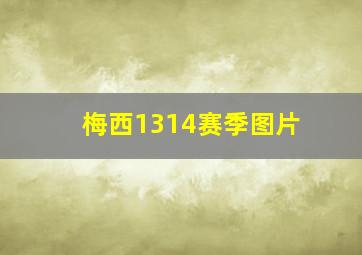 梅西1314赛季图片