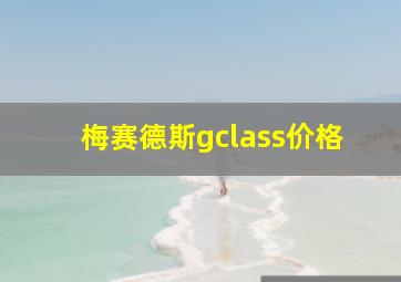 梅赛德斯gclass价格