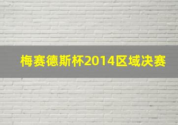 梅赛德斯杯2014区域决赛