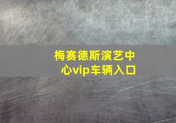 梅赛德斯演艺中心vip车辆入口