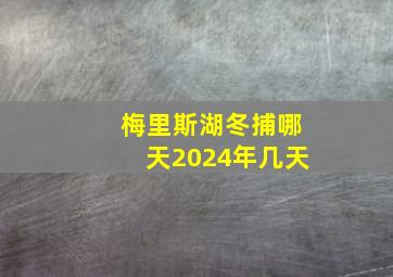 梅里斯湖冬捕哪天2024年几天