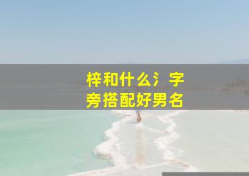 梓和什么氵字旁搭配好男名