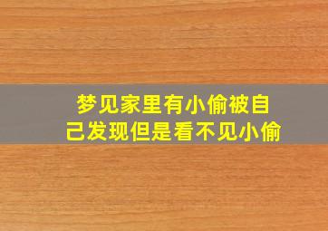 梦见家里有小偷被自己发现但是看不见小偷