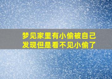 梦见家里有小偷被自己发现但是看不见小偷了