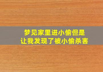 梦见家里进小偷但是让我发现了被小偷杀害