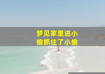 梦见家里进小偷抓住了小偷