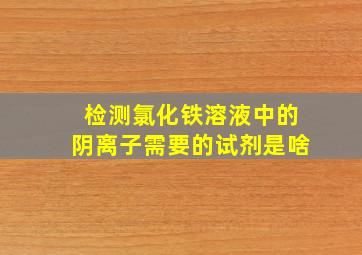 检测氯化铁溶液中的阴离子需要的试剂是啥