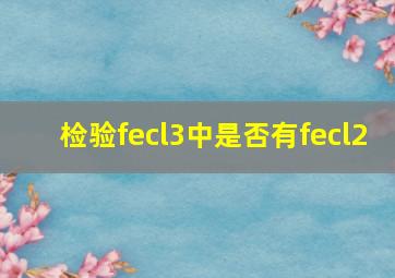 检验fecl3中是否有fecl2