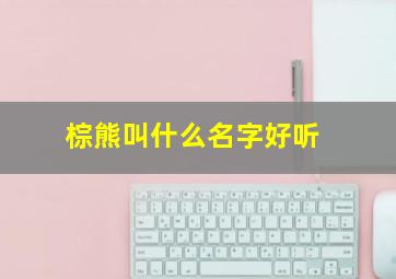 棕熊叫什么名字好听