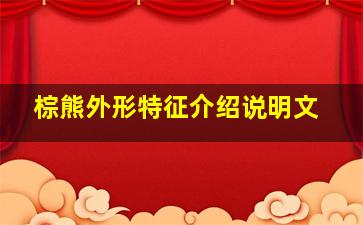 棕熊外形特征介绍说明文