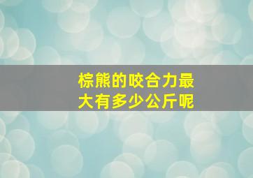 棕熊的咬合力最大有多少公斤呢