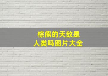 棕熊的天敌是人类吗图片大全