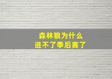 森林狼为什么进不了季后赛了