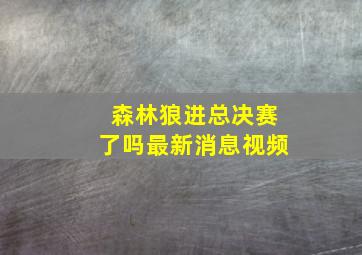 森林狼进总决赛了吗最新消息视频