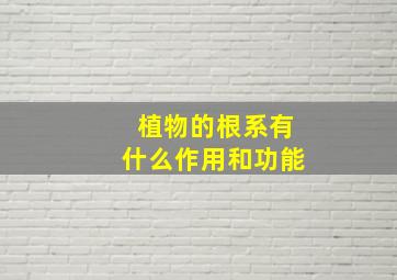 植物的根系有什么作用和功能