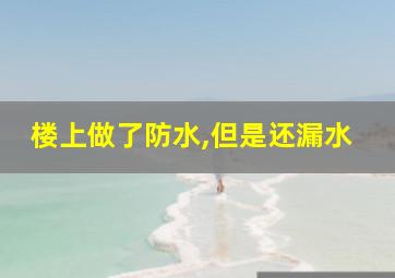 楼上做了防水,但是还漏水