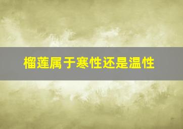 榴莲属于寒性还是温性