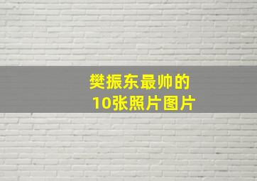 樊振东最帅的10张照片图片