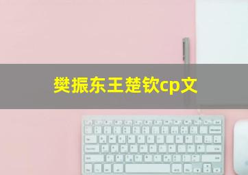 樊振东王楚钦cp文