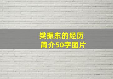 樊振东的经历简介50字图片