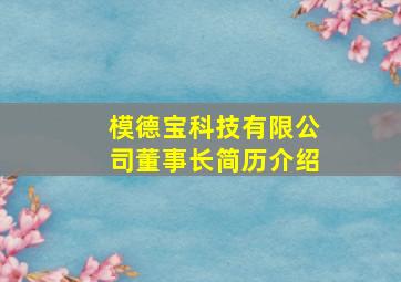 模德宝科技有限公司董事长简历介绍