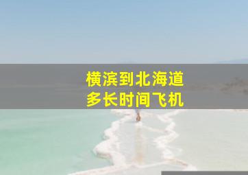 横滨到北海道多长时间飞机