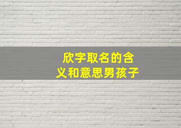 欣字取名的含义和意思男孩子