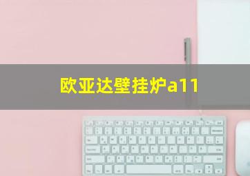 欧亚达壁挂炉a11