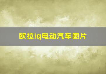 欧拉iq电动汽车图片