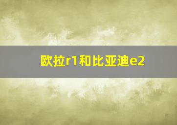 欧拉r1和比亚迪e2