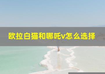 欧拉白猫和哪吒v怎么选择