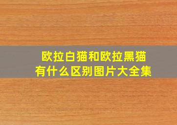 欧拉白猫和欧拉黑猫有什么区别图片大全集