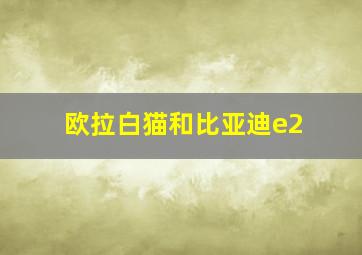 欧拉白猫和比亚迪e2