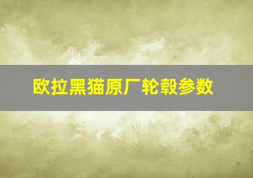 欧拉黑猫原厂轮毂参数